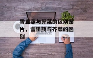 雪里蕻与芥菜的区别图片，雪里蕻与芥菜的区别