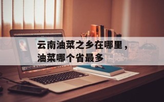 云南油菜之乡在哪里，油菜哪个省最多