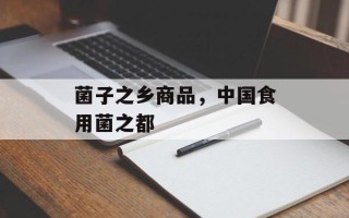 菌子之乡商品，中国食用菌之都