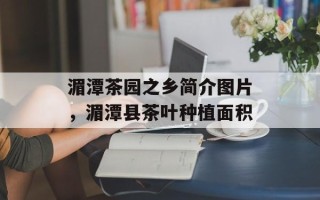 湄潭茶园之乡简介图片，湄潭县茶叶种植面积