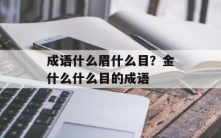 成语什么眉什么目？金什么什么目的成语