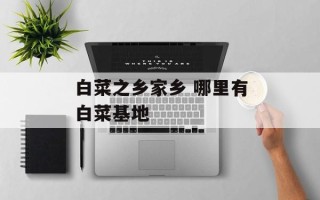 白菜之乡家乡 哪里有白菜基地