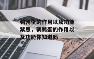鹌鹑蛋的作用以及功能禁忌，鹌鹑蛋的作用以及功能你知道吗