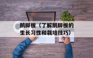 鹅脚板（了解鹅脚板的生长习性和栽培技巧）