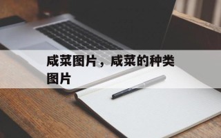 咸菜图片，咸菜的种类图片