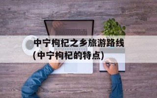 中宁枸杞之乡旅游路线(中宁枸杞的特点)