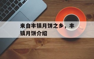 来自丰镇月饼之乡，丰镇月饼介绍