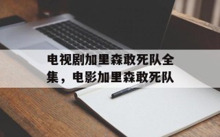电视剧加里森敢死队全集，电影加里森敢死队
