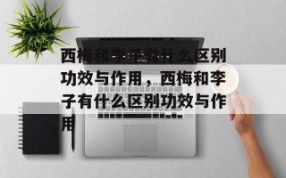 西梅和李子有什么区别功效与作用，西梅和李子有什么区别功效与作用