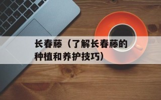 长春藤（了解长春藤的种植和养护技巧）