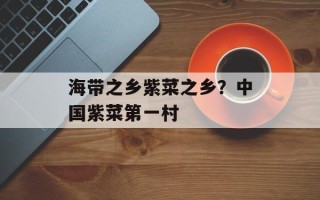 海带之乡紫菜之乡？中国紫菜第一村