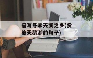 描写冬季天鹅之乡(赞美天鹅湖的句子)