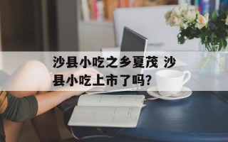 沙县小吃之乡夏茂 沙县小吃上市了吗？