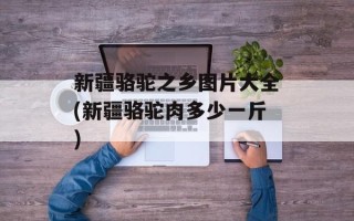 新疆骆驼之乡图片大全(新疆骆驼肉多少一斤)
