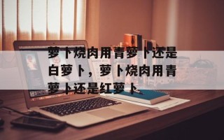 萝卜烧肉用青萝卜还是白萝卜，萝卜烧肉用青萝卜还是红萝卜