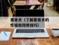 黑背犬（了解黑背犬的性格和饲养技巧）