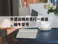 牛望远镜月亮打一成语，啥牛望月