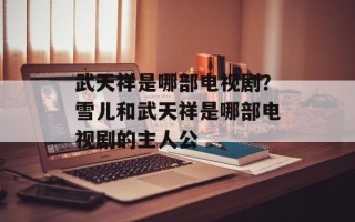 武天祥是哪部电视剧？雪儿和武天祥是哪部电视剧的主人公