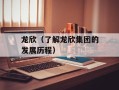 龙欣（了解龙欣集团的发展历程）