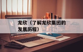 龙欣（了解龙欣集团的发展历程）