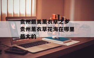 贵州最美薰衣草之乡 贵州薰衣草花海在哪里最大的