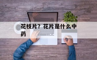花枝片？花片是什么中药