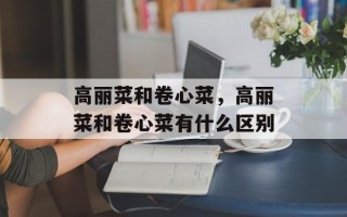 高丽菜和卷心菜，高丽菜和卷心菜有什么区别