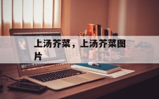 上汤芥菜，上汤芥菜图片