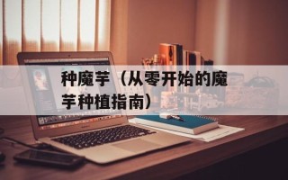 种魔芋（从零开始的魔芋种植指南）