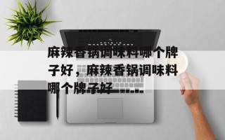 麻辣香锅调味料哪个牌子好，麻辣香锅调味料哪个牌子好