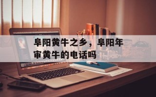 阜阳黄牛之乡，阜阳年审黄牛的电话吗