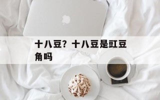 十八豆？十八豆是豇豆角吗