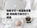 狗柿子打一成语疯狂看图 狗和两个柿子打一成语