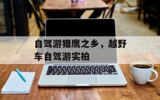 自驾游猎鹰之乡，越野车自驾游实拍