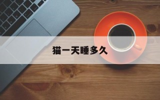 猫一天睡多久