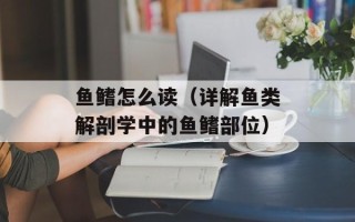 鱼鳍怎么读（详解鱼类解剖学中的鱼鳍部位）