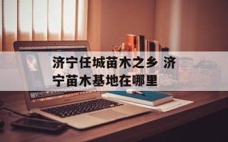 济宁任城苗木之乡 济宁苗木基地在哪里