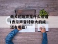 最大的响声是什么成语(表示声音特别大的成语有哪些)