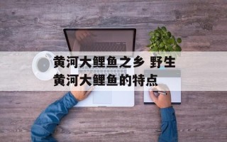 黄河大鲤鱼之乡 野生黄河大鲤鱼的特点
