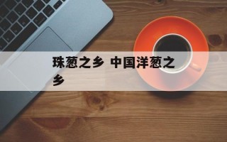 珠葱之乡 中国洋葱之乡