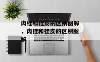 肉桂和桂皮的区别图解，肉桂和桂皮的区别图解