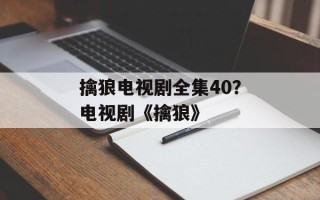 擒狼电视剧全集40？电视剧《擒狼》