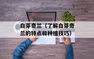 白芽奇兰（了解白芽奇兰的特点和种植技巧）
