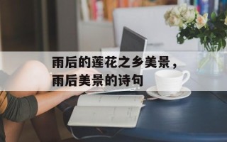雨后的莲花之乡美景，雨后美景的诗句