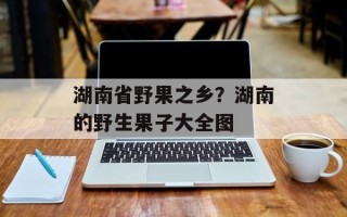 湖南省野果之乡？湖南的野生果子大全图