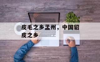 皮毛之乡孟州，中国貂皮之乡
