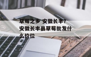 草莓之乡 安徽长丰？安徽长丰县草莓批发什么价位