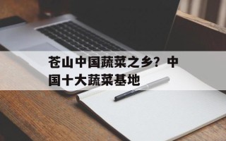 苍山中国蔬菜之乡？中国十大蔬菜基地
