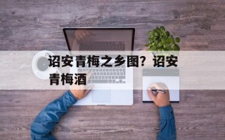 诏安青梅之乡图？诏安青梅酒