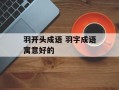 羽开头成语 羽字成语寓意好的